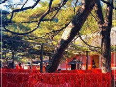 -红螺寺