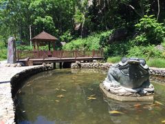 大连天门山国家森林公园-大连天门山国家森林公园