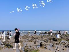 -巧克力渔家.小船海鲜胶东菜(万平口店)