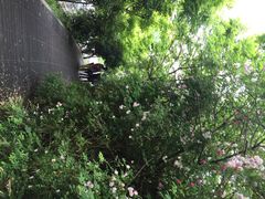 江阴黄嘉喜来登酒店-江阴黄嘉喜来登酒店