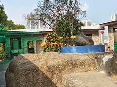 -大石鼓山庄·珠海第一烧猪