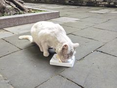 -张学良旧居陈列馆