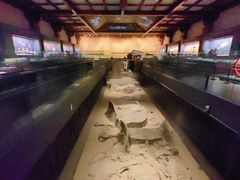 -北京大葆台遗址博物馆