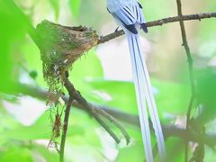 -桤木河湿地公园