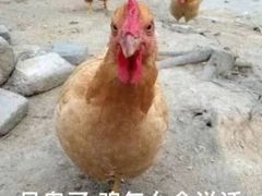 -麦当劳(欧亚大观商都店)
