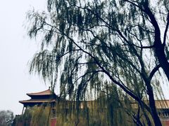 -东华门大街小区