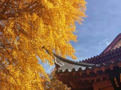 -郑和公园