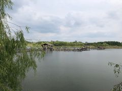 -溱湖国家湿地公园