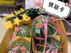 -永旺(大阪巨蛋城店)