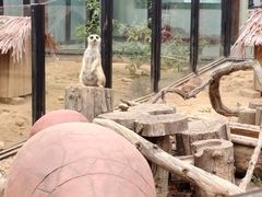 -大连森林动物园