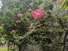 -明皇城东安门遗址