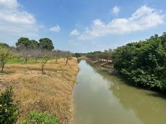 -盐官日光域房车营地·有盐餐厅