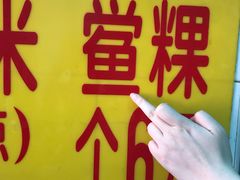 -老妈宫粽球