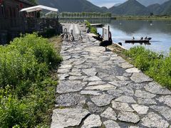 -大九湖