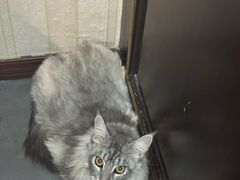 -宠爱国际维尼动物医院·疑难骨科·神经外科·肿瘤科(丰潭路店)