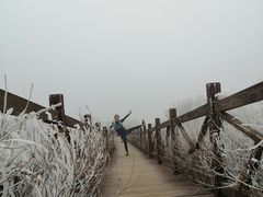 -阳台山自然风景区