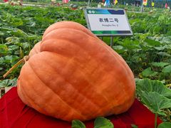 -长春农博园