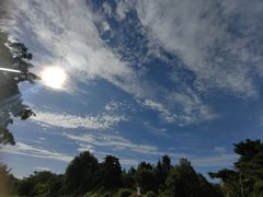 -长春市南湖公园