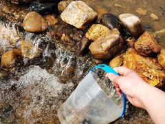 -好运来农家菜(吉林路店)