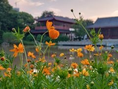 -堤角公园