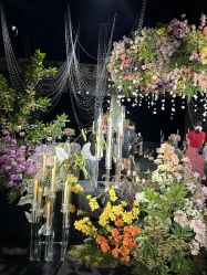 -成都首座万豪酒店·宴会厅