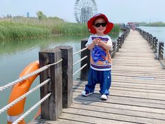 -太湖湖滨国家湿地公园-停车场