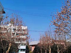 -四川农业大学(雅安校区)