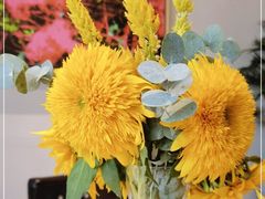 -沿途四季·云南菜(建外大街店)