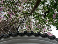 -深圳国际园林花卉博览园