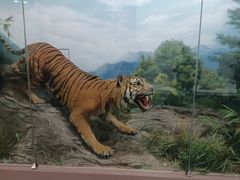 -国家自然博物馆