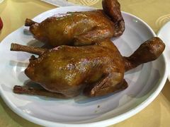 -五谷芳乳鸽王（大梅沙总店C区）(网红打卡店)