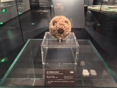 -广西壮族自治区博物馆