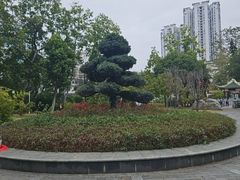 -柳侯公园