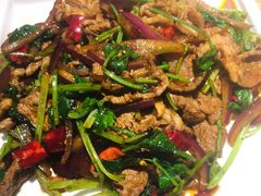 孜然羊肉-榆林镇筋饼(知春路店)