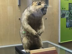 -陕西自然博物馆