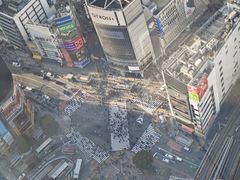 -涩谷全向十字路口