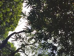 -地心探险极地
