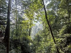 -青城山