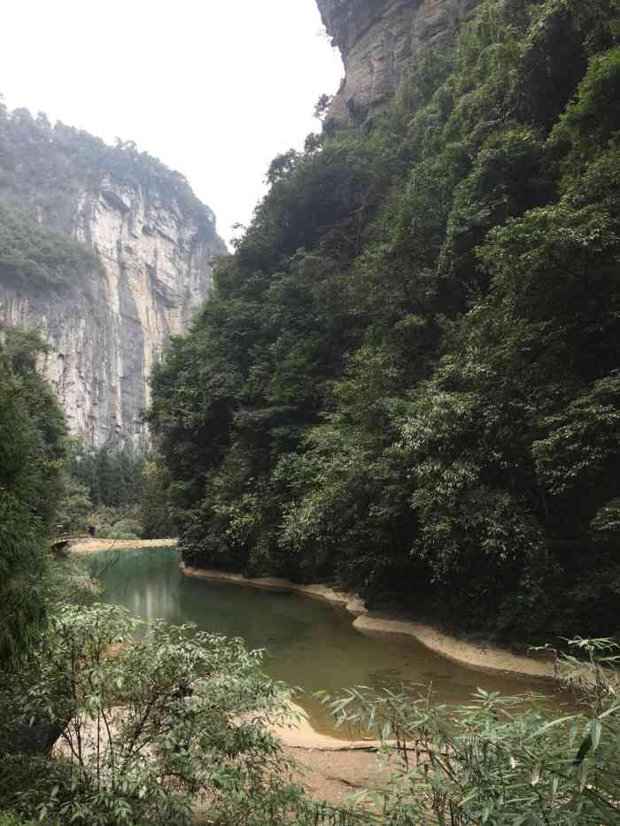 岩溶泉-"这里的池水是绿色的,有点翡翠的意思.十分."-大众点评移动版