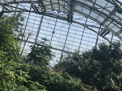 -南山植物园
