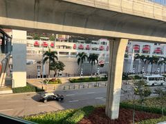 -石排湾郊野公园