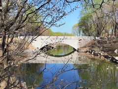 -大兴滨河森林公园