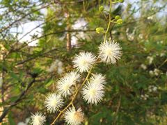 -那琴半岛地质海洋公园