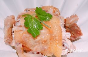 Hakka Salted Chicken