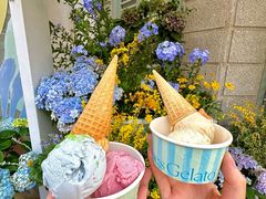 -苏小糖(鼓浪屿三丘田花园店)