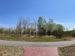 -马家湾湿地公园