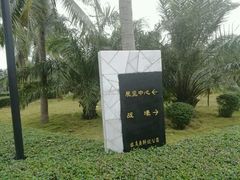 -临高角