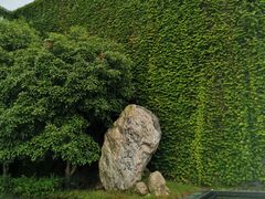 -八大山人梅湖景区