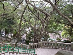 -乌山风景区