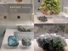 -中国地质博物馆